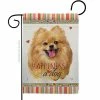 Breeze Decor 13 in. x 18.5 in. Pomeranian Happiness Dog Garden Flag Double-Sided Readable Both Sides Animals Decorative