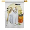 Breeze Decor 28 in. x 40 in. Ghost Cat Fall House Flag Double-Sided Decorative Vertical Flags