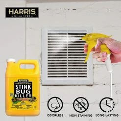 Harris 1 gal. Stink Bug Killer and Spider Trap Value Pack -Breeze Decor Sales Store clear harris insect traps stink 128vp 1f 1000