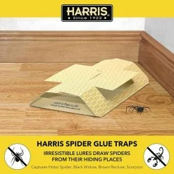 Harris 1 gal. Stink Bug Killer and Spider Trap Value Pack -Breeze Decor Sales Store clear harris insect traps stink 128vp 31 1000