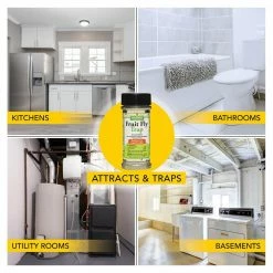 Harris 6 oz. Fruit Fly Killer Trap (2-Pack) -Breeze Decor Sales Store green orange harris insect traps 2fft 6 fa 1000