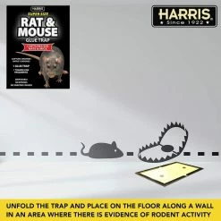 Harris Rat and Mouse Glue Trap Super-Size (10-Pack) -Breeze Decor Sales Store harris animal traps 10blkrat 1 44 1000