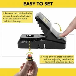 Harris Reusable Plastic Rat Trap (2 Pack) -Breeze Decor Sales Store harris animal traps 2prt 1 1f 1000