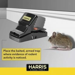 Harris Reusable Plastic Rat Trap (2 Pack) -Breeze Decor Sales Store harris animal traps 2prt 1 44 1000