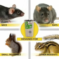 Harris Catch and Release Humane Squirrel and Rodent Trap -Breeze Decor Sales Store harris animal traps 2rt live 4f 1000