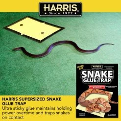 Harris Snake Glue Trap Super Size (3-Pack) 7 Harris Snake Glue Trap Super Size (3-Pack) -Breeze Decor Sales Store harris animal traps 3snake 1 4f 1000