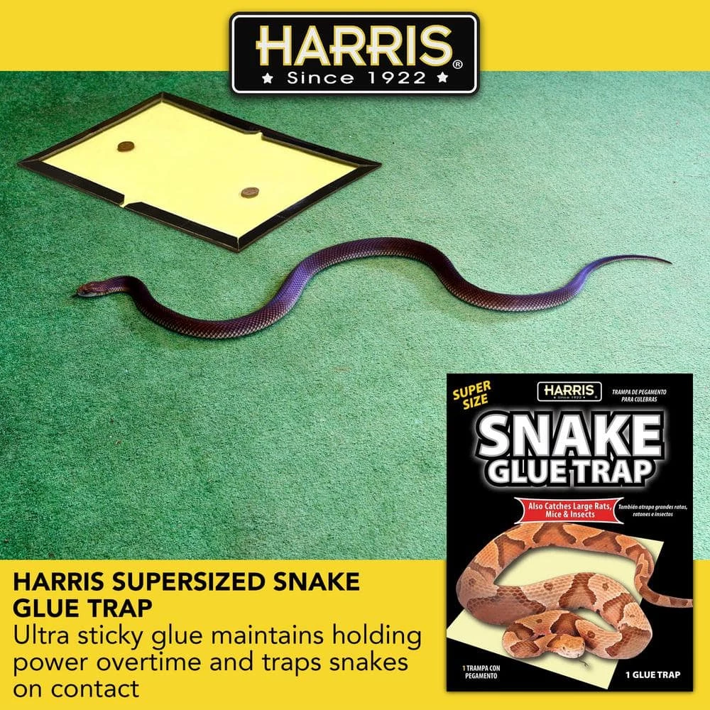 Harris Snake Glue Trap Super Size (3-Pack) 3 Harris Snake Glue Trap Super Size (3-Pack) - Image 3