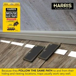 Harris Mouse Glue Traps (4-Pack) -Breeze Decor Sales Store harris animal traps 4hmg4 44 1000