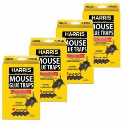 Harris Mouse Glue Traps (4-Pack)