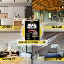 Harris Rat and Mouse Glue Trap Super-Size (5-Pack) -Breeze Decor Sales Store harris animal traps 5blkrat 1 4f 1000