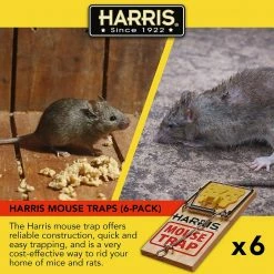 Harris Mouse Snap Trap (12-Pack) -Breeze Decor Sales Store harris animal traps 6wmt 2 44 1000