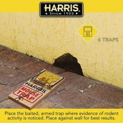 Harris Mouse Snap Trap (12-Pack) -Breeze Decor Sales Store harris animal traps 6wmt 2 fa 1000
