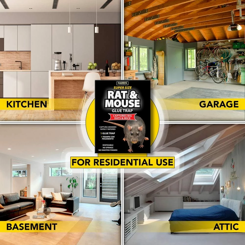 Harris Rat and Mouse Glue Trap Super-Size with Lure (3-Pack) 4 Harris Rat and Mouse Glue Trap Super-Size with Lure (3-Pack) - Image 4