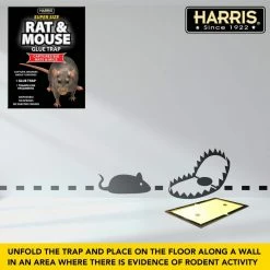 Harris Rat and Mouse Glue Trap Super-Size with Lure (3-Pack) 11 Harris Rat and Mouse Glue Trap Super-Size with Lure (3-Pack) -Breeze Decor Sales Store harris animal traps blkrat1 3pk 44 1000