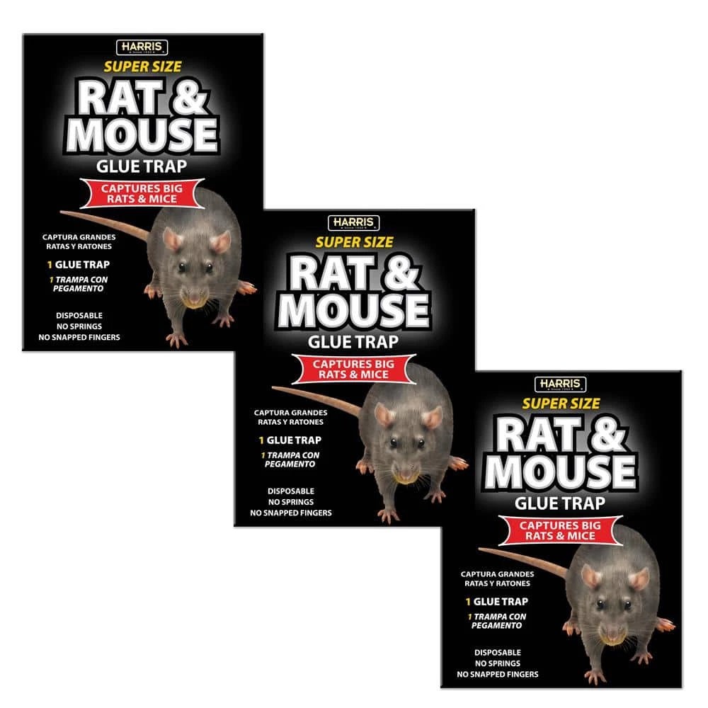 Harris Rat and Mouse Glue Trap Super-Size with Lure (3-Pack) 1 Harris Rat and Mouse Glue Trap Super-Size with Lure (3-Pack)