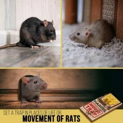 Harris Rat and Mouse Bait Trap Repel and Prevention Kit -Breeze Decor Sales Store harris bait stations ratkit 66 1000