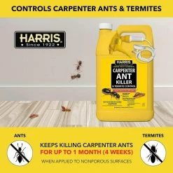 Harris 128 oz. Carpenter Ant Killer and Termite Control Treatment Spray (2-Pack) 7 Harris 128 oz. Carpenter Ant Killer and Termite Control Treatment Spray (2-Pack) -Breeze Decor Sales Store harris bug killer spray 2hcat 128 4f 1000