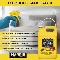 Harris 1 Gal. Asian Lady Beetle and Box Elder Bug Killer (3-Pack) -Breeze Decor Sales Store harris bug killer spray 3hbxa 128 1f 1000