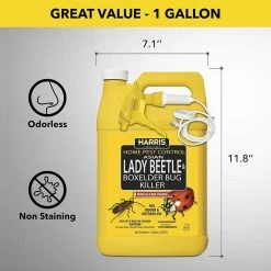 Harris 1 Gal. Asian Lady Beetle and Box Elder Bug Killer (3-Pack) -Breeze Decor Sales Store harris bug killer spray 3hbxa 128 44 1000