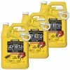 Harris 1 Gal. Asian Lady Beetle and Box Elder Bug Killer (3-Pack)