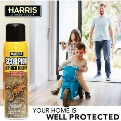 Harris 16 oz. Scorpion and Spider Killer Spray (3-Pack) 13 Harris 16 oz. Scorpion and Spider Killer Spray (3-Pack) -Breeze Decor Sales Store harris bug killer spray 3scorp 16a 31 1000