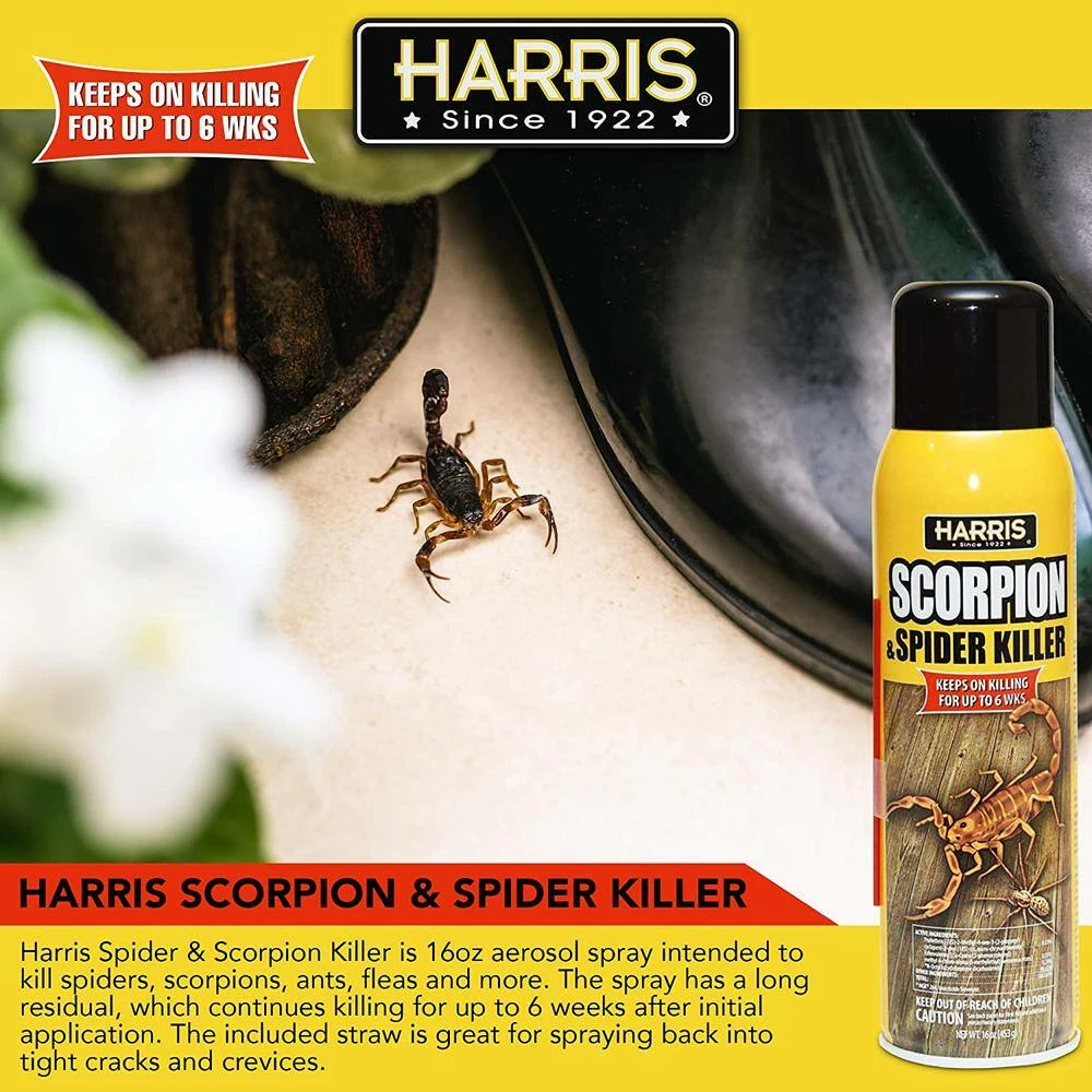 Harris 16 oz. Scorpion and Spider Killer Spray (3-Pack) 3 Harris 16 oz. Scorpion and Spider Killer Spray (3-Pack) - Image 3