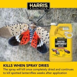 Harris 1 Gal. Spotted Lanternfly Killer with 1 Gal. Tank Sprayer (3-Pack) 9 Harris 1 Gal. Spotted Lanternfly Killer with 1 Gal. Tank Sprayer (3-Pack) -Breeze Decor Sales Store harris bug killer spray 3slf 128tank 44 1000