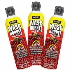 Harris 16 oz. Wasp and Hornet Killer (3-Pack)