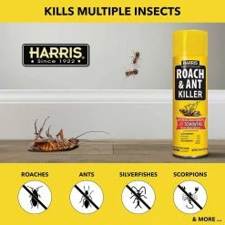 Harris 16 oz. 10-Month Roach and Ant Killer Aerosol Spray (6-Pack) -Breeze Decor Sales Store harris bug killer spray 6ra 16 1f 1000