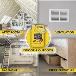 Harris 1 Gal. Asian Lady Beetle and Box-Elder Bug Killer -Breeze Decor Sales Store harris bug killer spray hbxa 128 31 1000