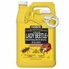 Harris 1 Gal. Asian Lady Beetle and Box-Elder Bug Killer