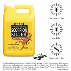 Harris 1 Gal. Scorpion Killer Spray and Pest Glue Boards (5-Pack) -Breeze Decor Sales Store harris bug killer spray hsc128 gb5 1f 1000