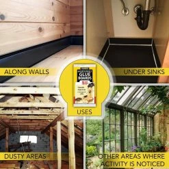 Harris 1 Gal. Scorpion Killer Spray and Pest Glue Boards (5-Pack) -Breeze Decor Sales Store harris bug killer spray hsc128 gb5 66 1000