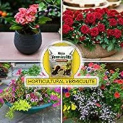 Harris 8 Qt. Premium Horticultural Vermiculite for Indoor Plants and Gardening and 4Qt. Succulent and Cactus Potting Soil Mix -Breeze Decor Sales Store harris grow media verm succl 4f 1000