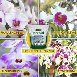 Harris 4 Qt. Premium Orchid Potting Mix (2-Pack) -Breeze Decor Sales Store harris organic potting soil 2orchid 4 1f 1000