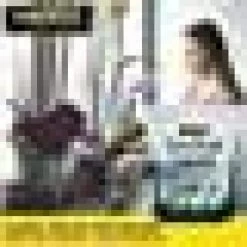 Harris 4 Qt. Premium Orchid Potting Mix (2-Pack) -Breeze Decor Sales Store harris organic potting soil 2orchid 4 c3 1000