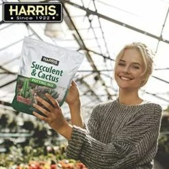 Harris 4qt. Succulent and Cactus Potting Soil Mix (2-Pack) -Breeze Decor Sales Store harris organic potting soil 2succl 4 1f 1000