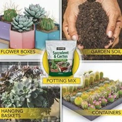 Harris 4qt. Succulent and Cactus Potting Soil Mix (2-Pack) -Breeze Decor Sales Store harris organic potting soil 2succl 4 4f 1000