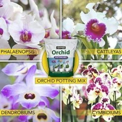 Harris 4 Qt. Premium Orchid Potting Mix (4-pack) 11 Harris 4 Qt. Premium Orchid Potting Mix (4-pack) -Breeze Decor Sales Store harris organic potting soil 4orchid 4 1f 1000