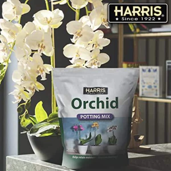 Harris 4 Qt. Premium Orchid Potting Mix (4-pack) 7 Harris 4 Qt. Premium Orchid Potting Mix (4-pack) - Image 7