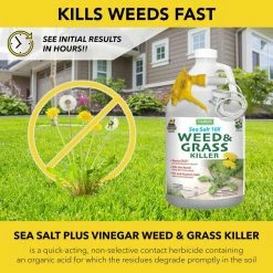 Harris 128 oz. Sea Salt Weed and Grass Killer (2-Pack) -Breeze Decor Sales Store harris organic weed killer 2seaweed128 44 1000