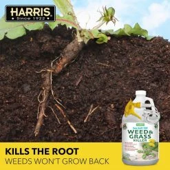 Harris 128 oz. Sea Salt Weed and Grass Killer (2-Pack) -Breeze Decor Sales Store harris organic weed killer 2seaweed128 4f 1000