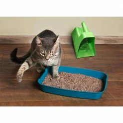 Harris Diatomaceous Earth Applicator and Fertilizer Spreader (2-Pack) -Breeze Decor Sales Store harris spreaders 2siftit 44 1000