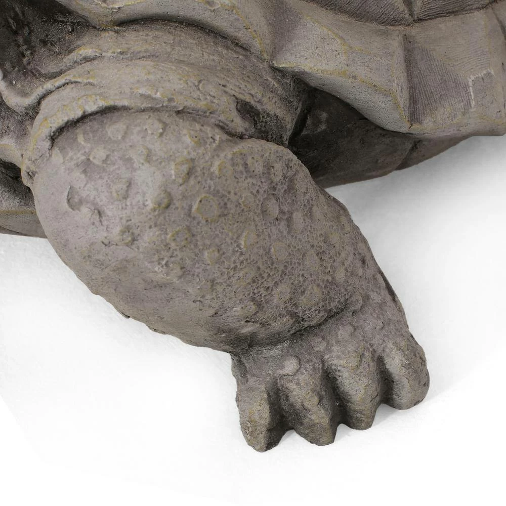 Noble House Orwell 15 in. Outdoor Turtle Garden Statue 7 Noble House Orwell 15 in. Outdoor Turtle Garden Statue - Image 7