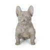 Noble House Delamore 16 in. Rustic White and Green French Bulldog Garden Statue
