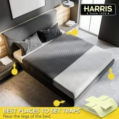 Harris Bed Bug Trap Value Pack 14 Harris Bed Bug Trap Value Pack -Breeze Decor Sales Store white harris insect traps bbtrpvp fa 1000