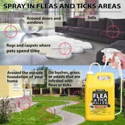 Harris Flea and Tick Killer and Spider Trap Value Pack -Breeze Decor Sales Store white harris insect traps hft 128vp 4f 1000