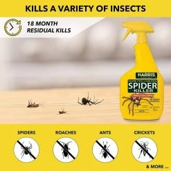 Harris 32 oz. Spider Killer and Spider Traps Value Pack -Breeze Decor Sales Store white harris insect traps hsk 24vp 44 1000