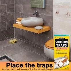 Harris Scorpion Glue Trap (5-Pack) -Breeze Decor Sales Store white harris insect traps sctrpvp 1f 1000