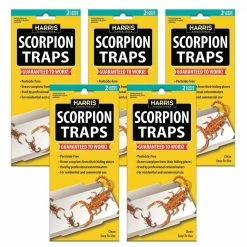 Harris Scorpion Glue Trap (5-Pack)